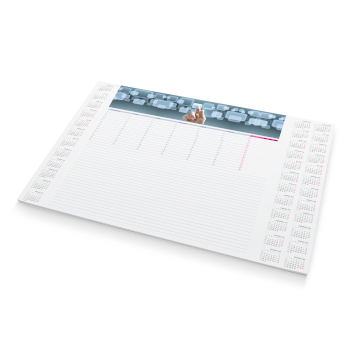 Planer na biurko (biuwar)